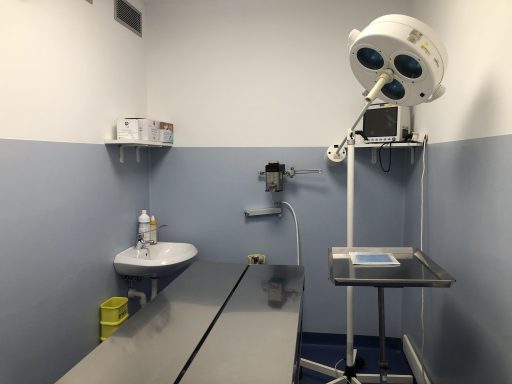 Inaugurato il nuovo ambulatorio veterinario