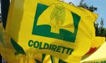 Coldiretti: «Export, 2022 positivo per la Liguria»