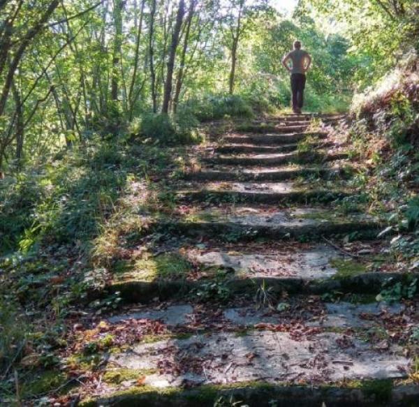 Le prossime iniziative previste nel territorio di Lavagna