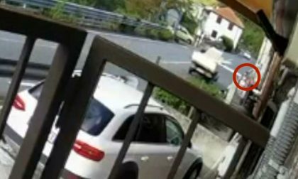 Carico sporgente da un furgone, ragazza colpita alla testa