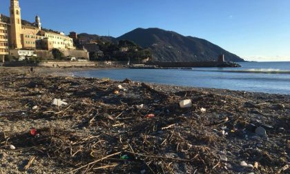 Dopo la mareggiata al via la pulizia dei rifiuti sulla spiaggia