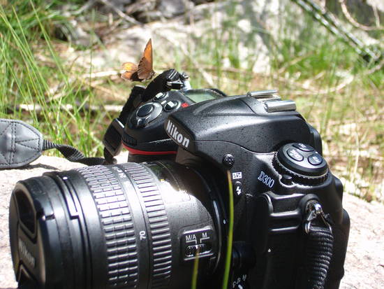 Concorso fotografico, c’è tempo sino all’1/11