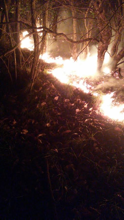 L’incendio doloso sul Monte Carnella: anziano del posto accusato di essere il piromane