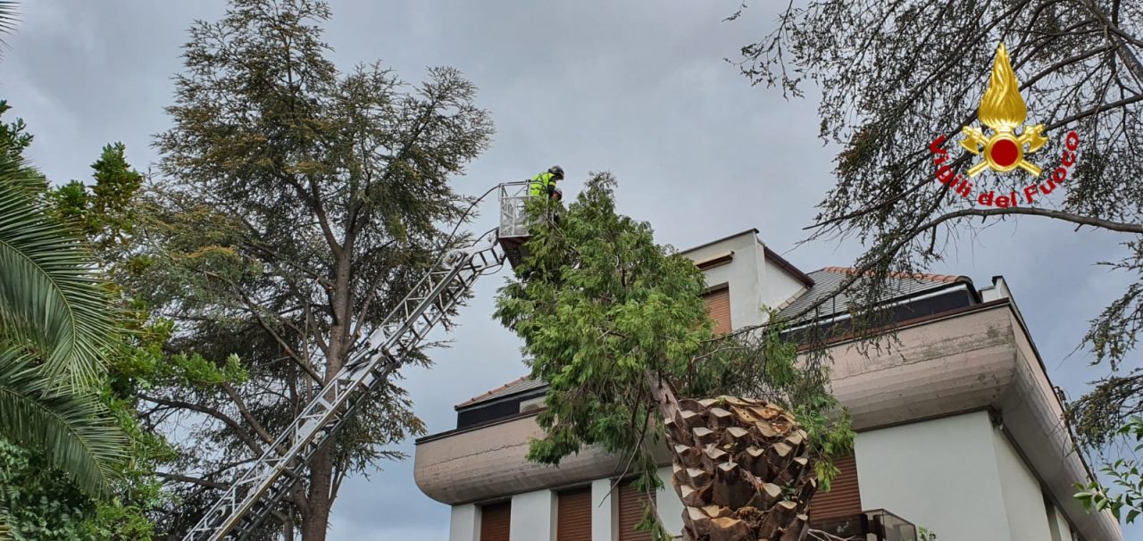 Albero si abbatte su una casa a Rapallo – FOTO GALLERY