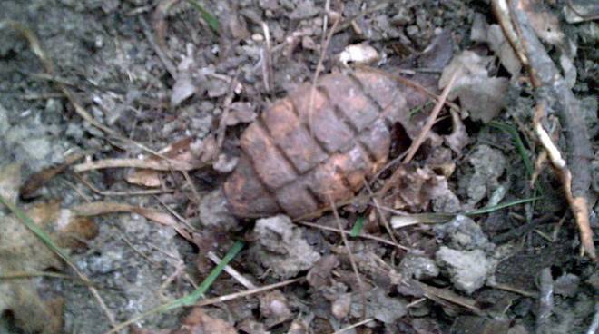 Chiavari, trovato ordigno bellico dai giardinieri
