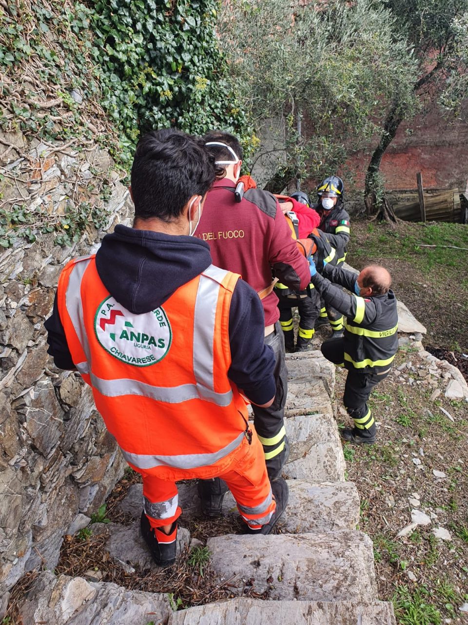 Ancora una caduta durante la raccolta delle olive: in ospedale questa volta una donna, fortunatamente non grave