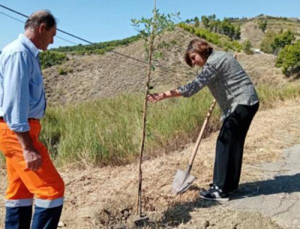 Chiavari sempre più “green”