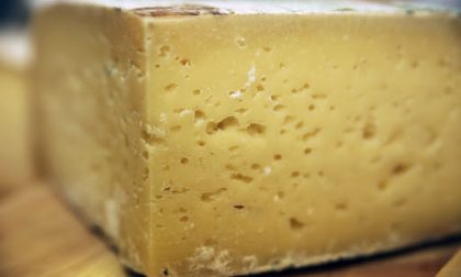 Rischio Salmonella, ritirato il Raschera Dop