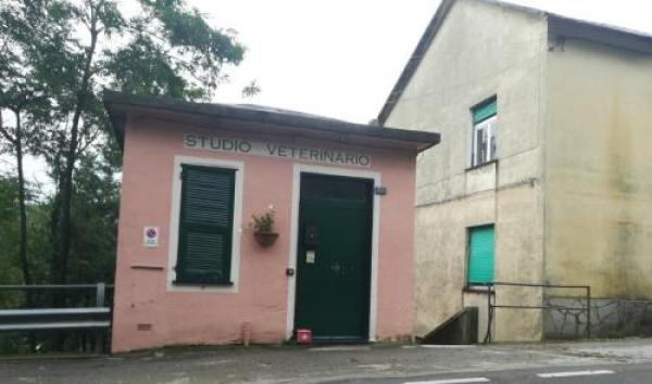 Uscio, nuovo look per l’ambulatorio veterinario
