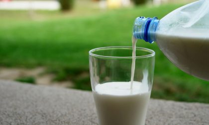 12 marchi di latte fresco richiamati cautelativamente per presunta presenza di sostanze inibenti