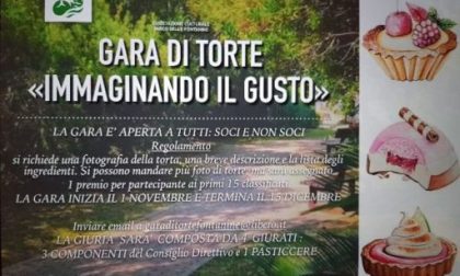 Gara di torte online