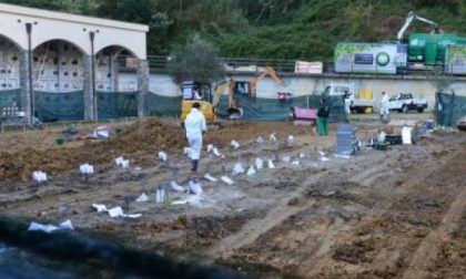 "Nessuna irregolarità al cimitero"