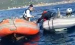 Liberato a Chiavari un delfino rimasto intrappolato in una rete