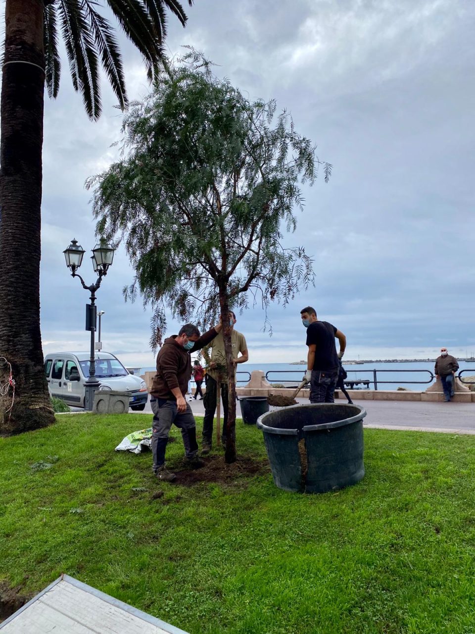 Verde pubblico, lavori di manutenzione