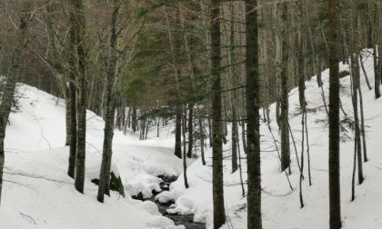 Parco dell’Aveto, ultima ciaspolata sabato 13 marzo