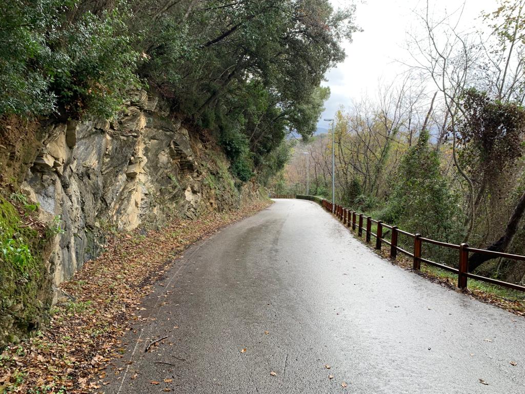 Consolidamento della strada di Maxena, Sanguineto e Campodonico