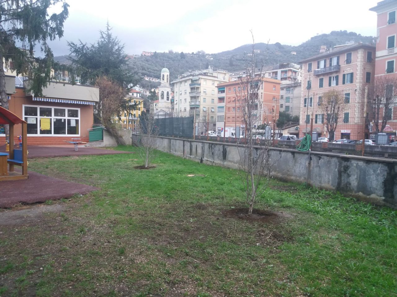 Piantati nuovi alberi nel giardino della scuola d’infanzia di via Milano