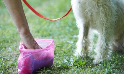 "E la popò del cane dove la butto? Spariti i bidoncini dei rifiuti sul lungo Entella"