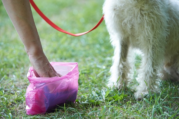 “E la popò del cane dove la butto? Spariti i bidoncini dei rifiuti sul lungo Entella”