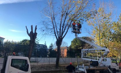 Ripartono i lavori in piazza Del Buono