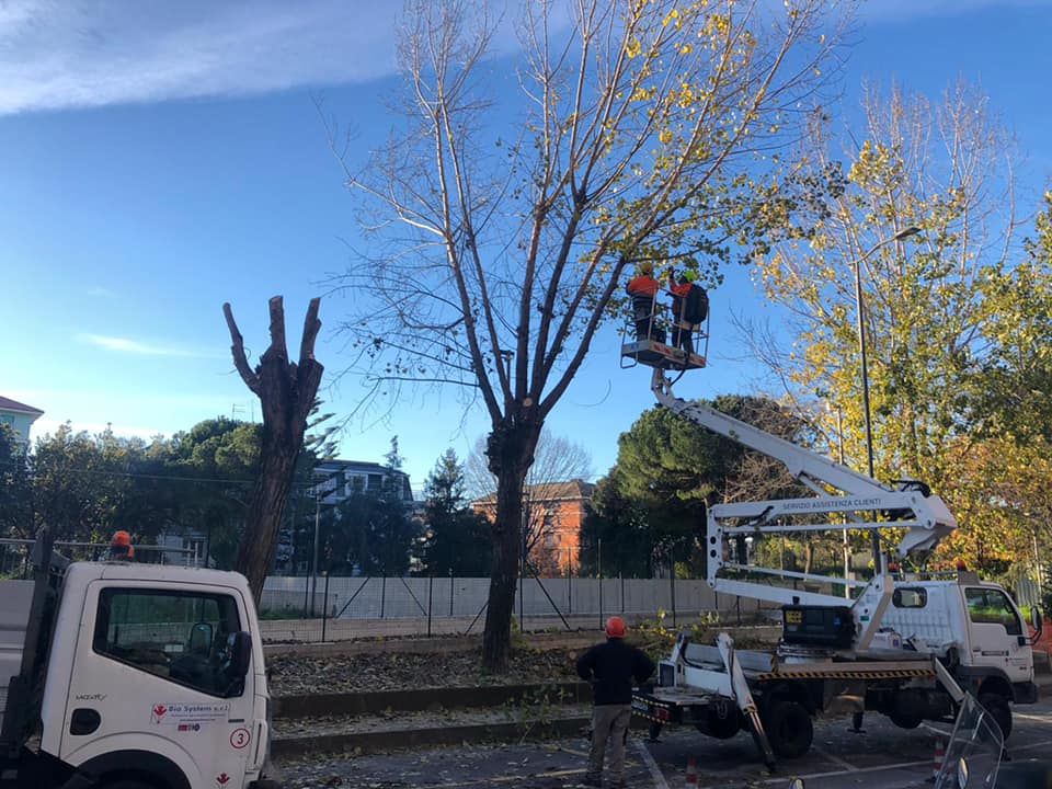Ripartono i lavori in piazza Del Buono