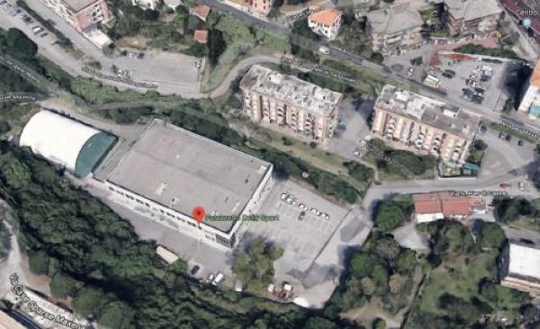 La seconda vita del Palazzetto dello Sport