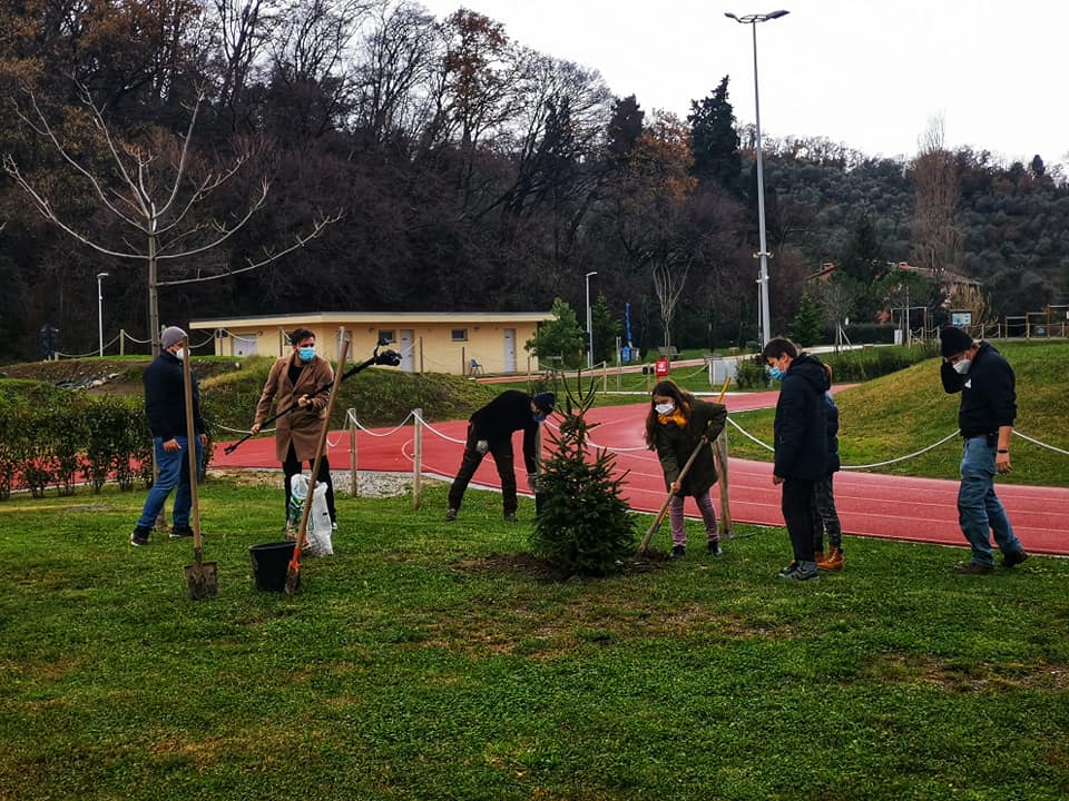 Gli alberi di Natale piantati al parco Mandela