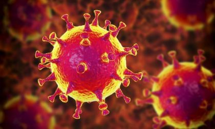 Coronavirus: in Liguria 73 nuovi positivi. 4 deceduti all'Ospedale di Savona