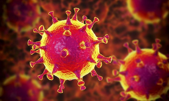 Coronavirus: in Liguria 73 nuovi positivi. 4 deceduti all’Ospedale di Savona