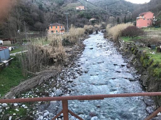 Pulizia del Graveglia fino a Frisolino