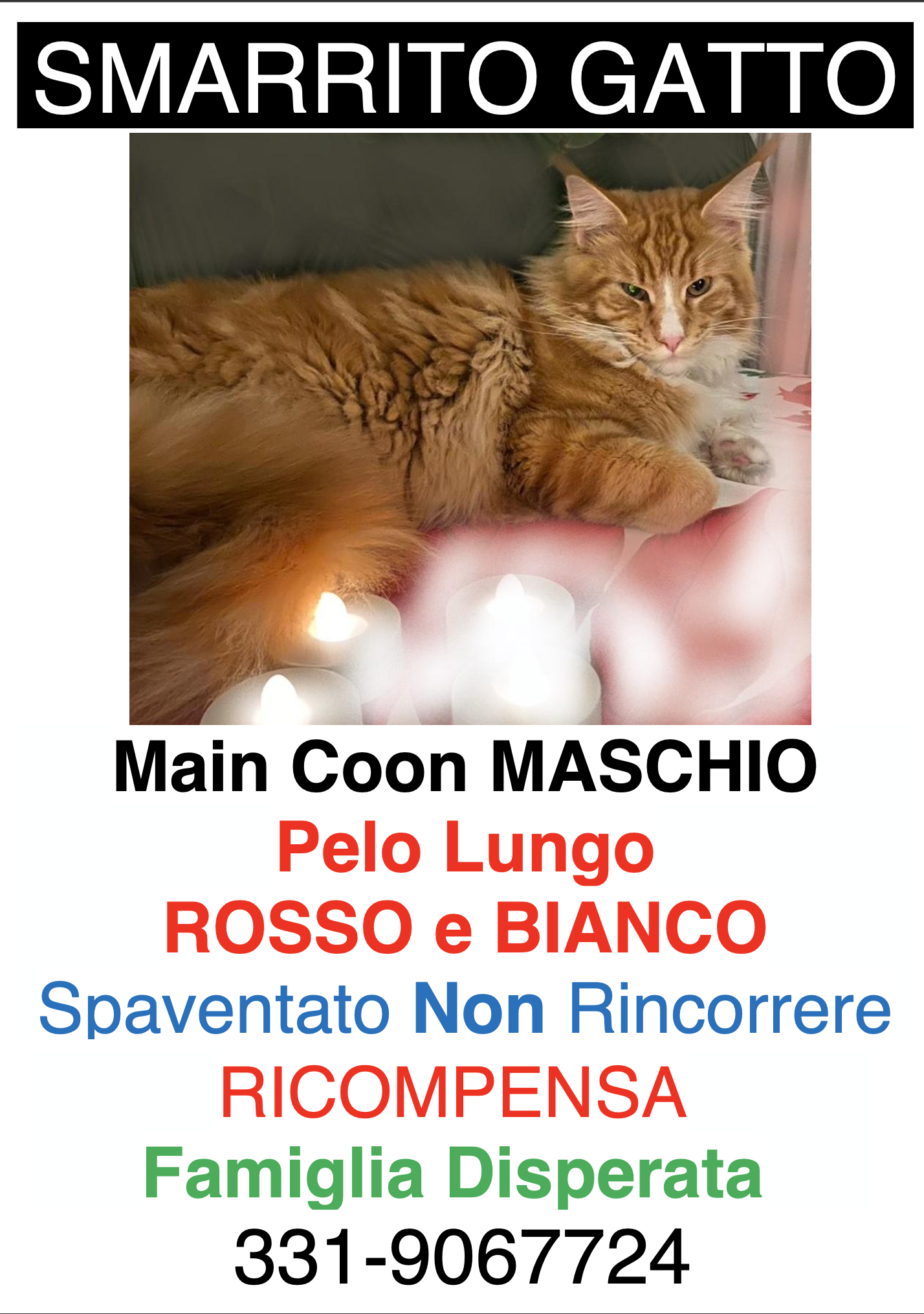 Schermata 2021-02-17 alle 11.11.22 (2)