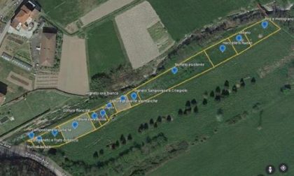 Gli studenti fanno crescere l’azienda agraria