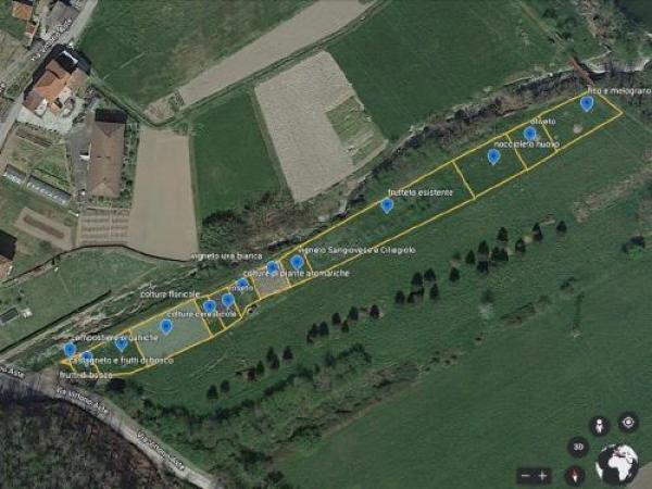 Gli studenti fanno crescere l’azienda agraria