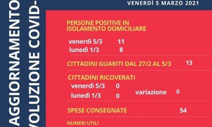 Covid, nessun sestrese ricoverato