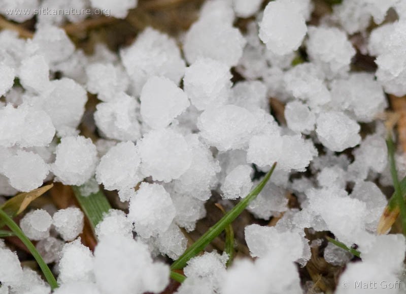 20100306-graupel-3