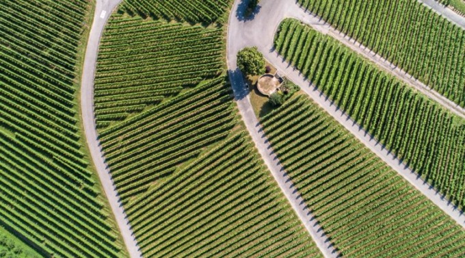 Sostenibilità: premiata un’azienda di Borzonasca