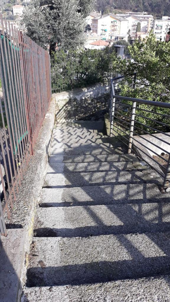 Interventi di pulizia e sfalcio in salita San Martino
