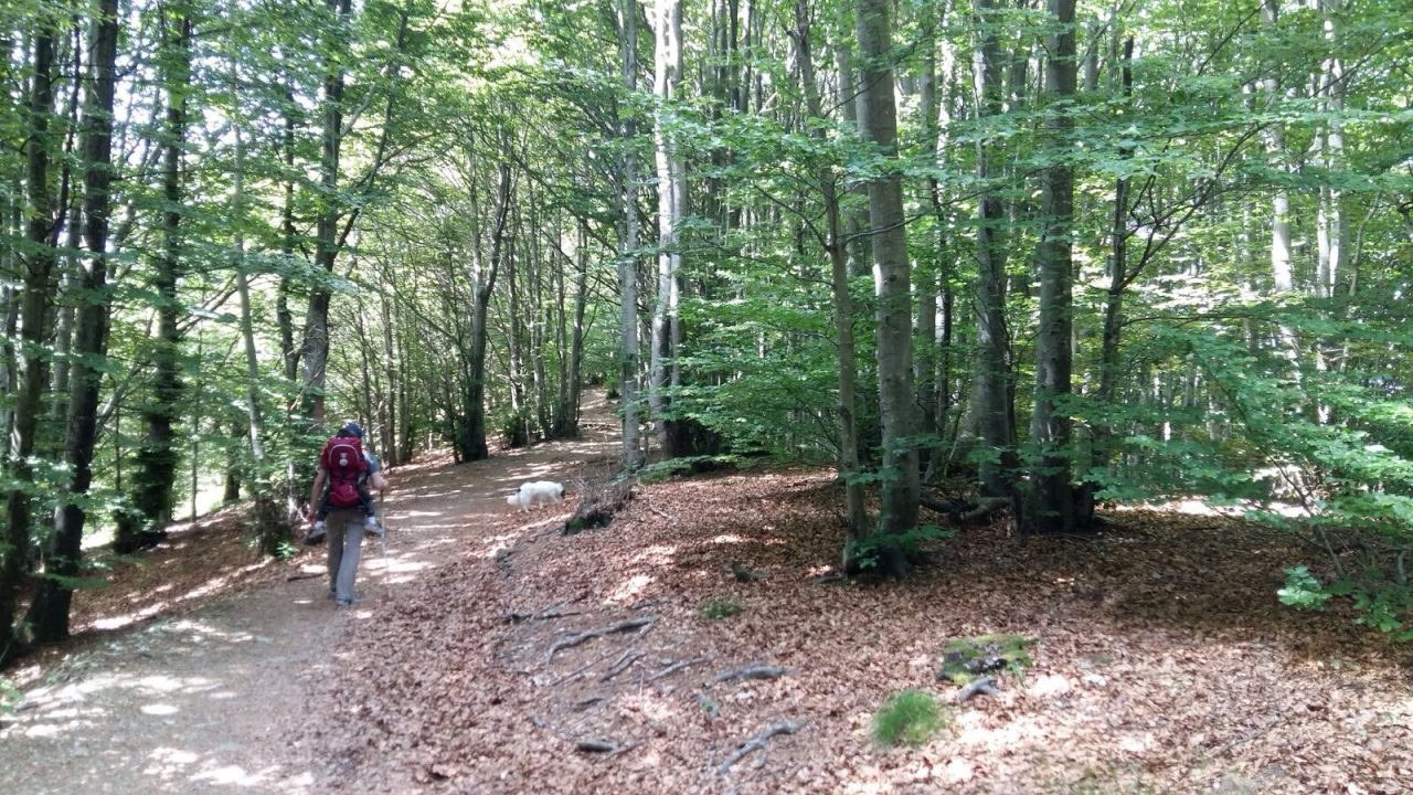 In arrivo nuovi bandi del Gal Genovese