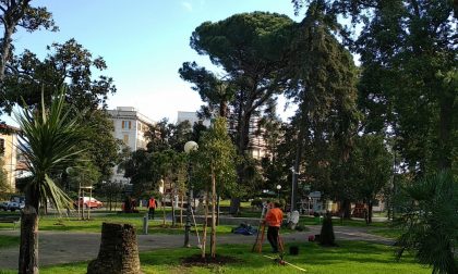Sedici nuove piante ai Giardini Mariele Ventre