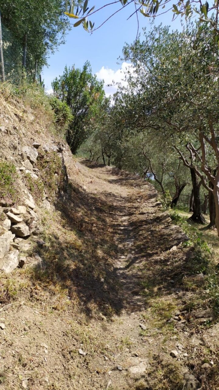 Il recupero della rete sentieristica