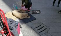 Cani di sabbia: artista di strada cacciato dalle forze dell'ordine