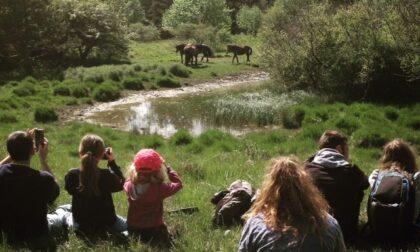 Escursioni in Val d'Aveto, le proposte