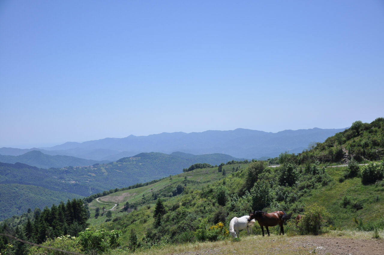 Parchi: il 13 e 14 aprile cammini aperti sull’Alta Via dei Monti Liguri