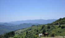 Parchi: il 13 e 14 aprile cammini aperti sull'Alta Via dei Monti Liguri