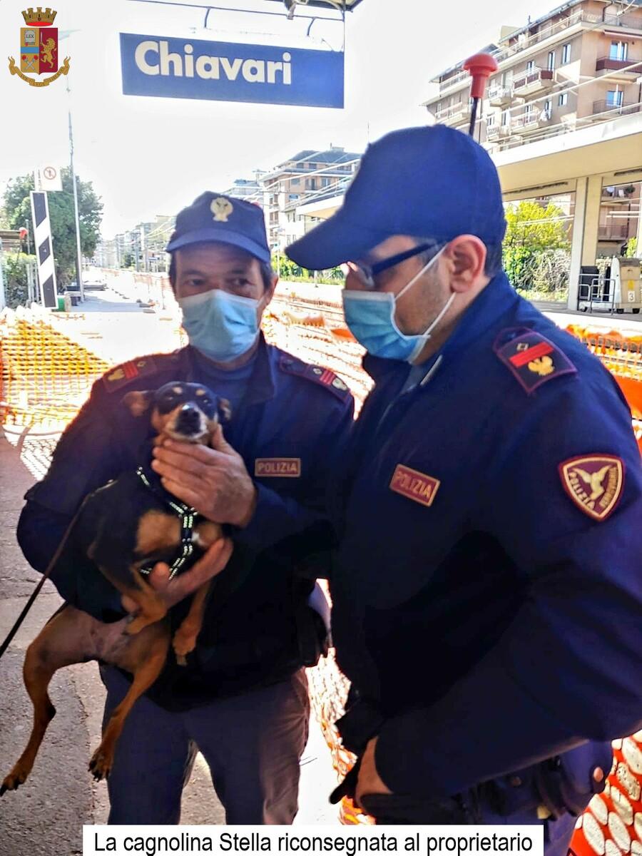Cagnolina scappa dal proprietario e finisce in una galleria ferroviaria, salvata