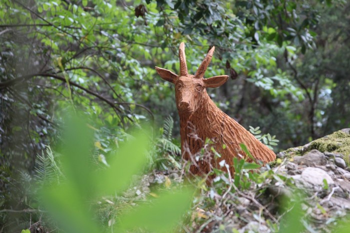 Alla ricerca degli animali intagliati, nuovo percorso nel Parco di Portofino