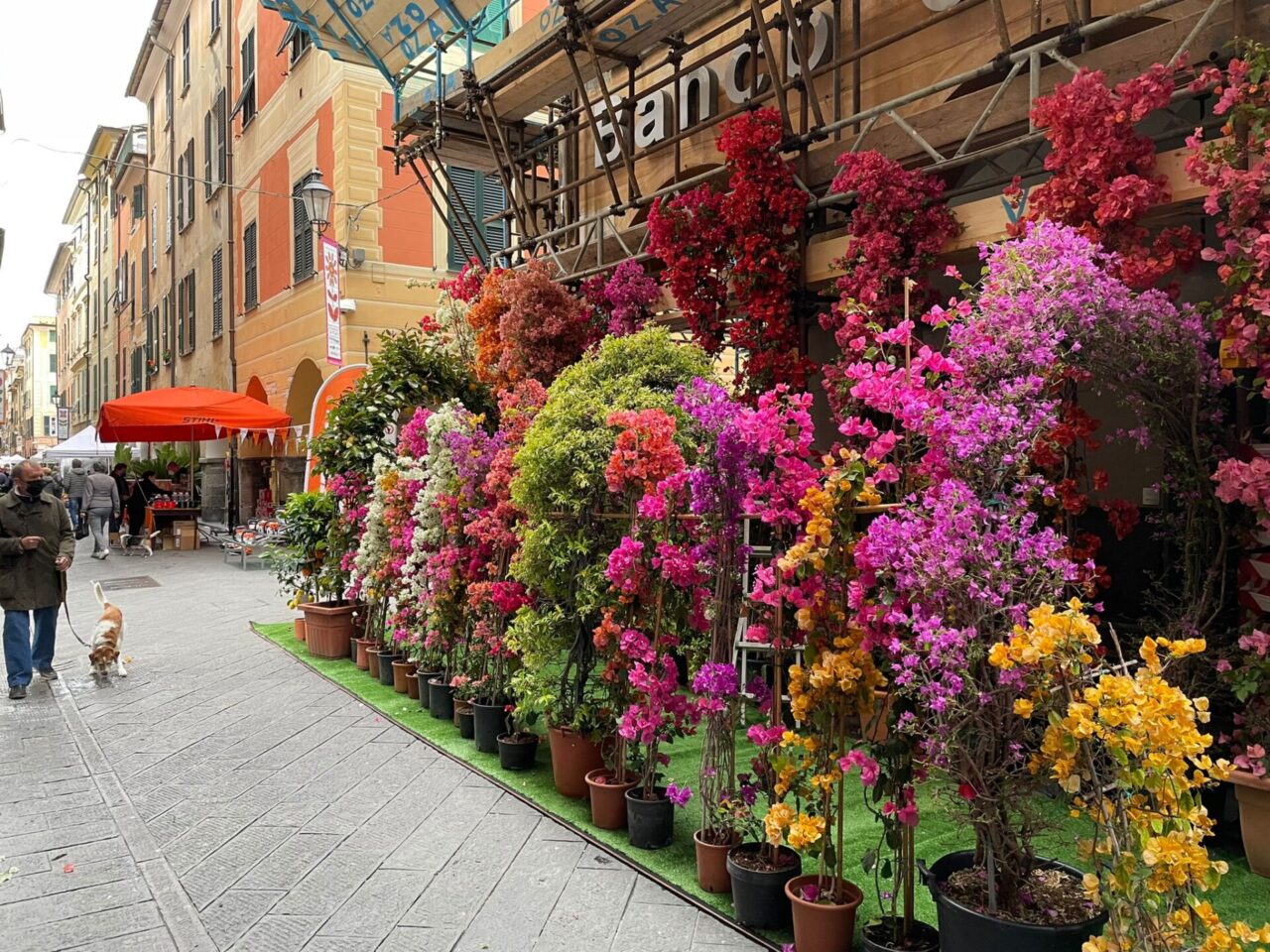 Seconda giornata di Chiavari in Fiore