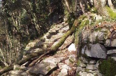 Con l'Ochin, passeggiata al passo do Barbé