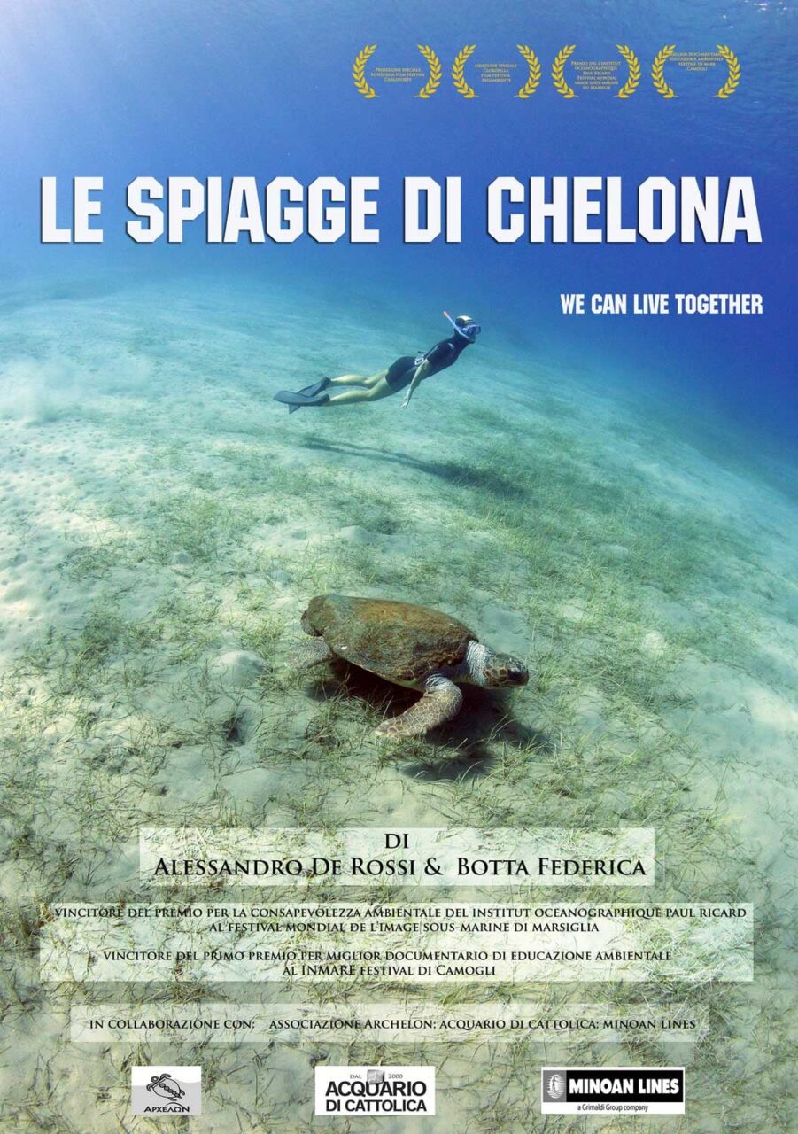 Alla ricerca delle tartarughe marine: il film premiato all’Inmare Film Festival di Camogli