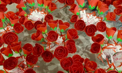 Una Rosa contro la violenza sulle donne: da oggi in negozi e librerie